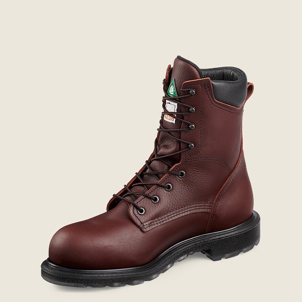 Safety Støvler Herre - Red Wing Supersole® 2.0 - 8-Inch Csa Toe - Bordeaux - JEOBNL-496